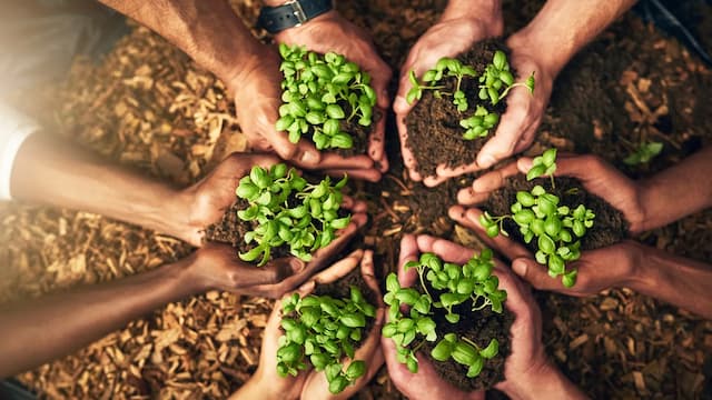 Capa do post: Por que falar de sustentabilidade também é falar de inovação imobiliária